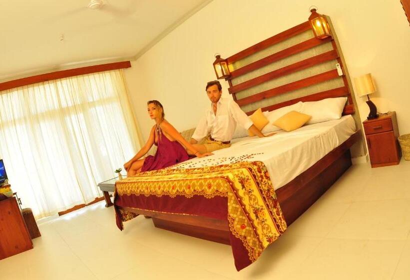 디럭스 룸, Oasey Beach