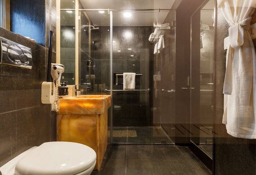 اتاق استاندارد, Le Sutra Hotel, Khar, Mumbai