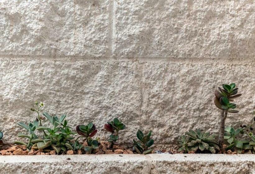 标准间, In Centro Da Viola   Eco Design Rooms