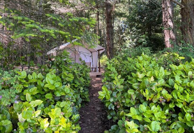 Standard Tent, Lopez Farm Cottages & Tent Camping