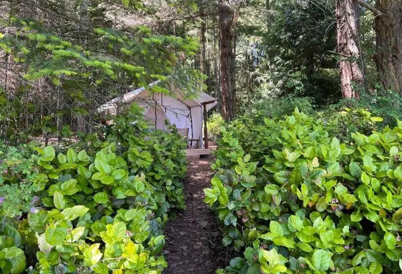 Standard Tent, Lopez Farm Cottages & Tent Camping