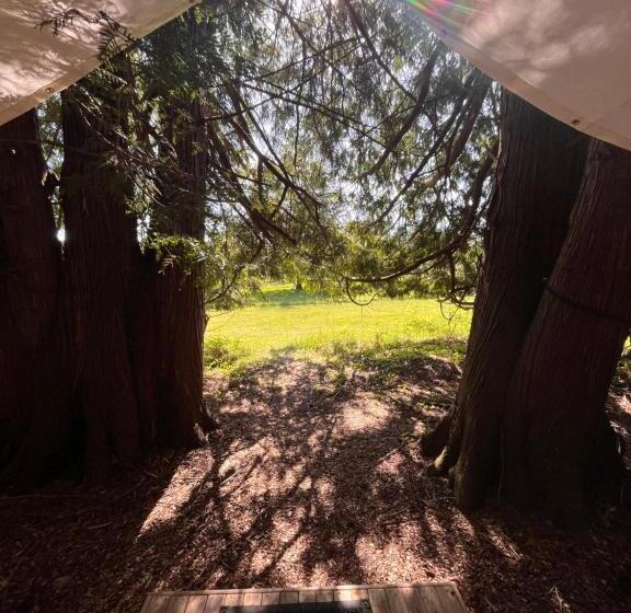 كوخ قياسي, Lopez Farm Cottages & Tent Camping