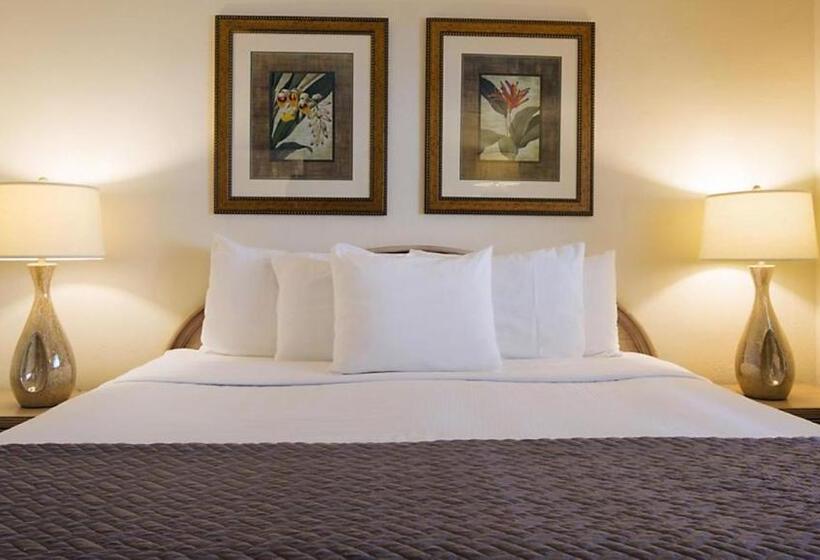 جناح ديلوكس, Resort Sixty Six