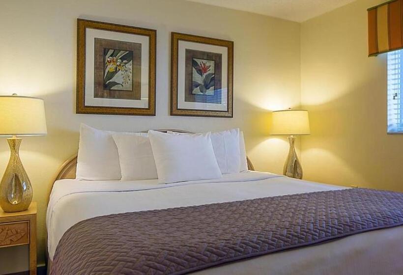 جناح ديلوكس, Resort Sixty Six