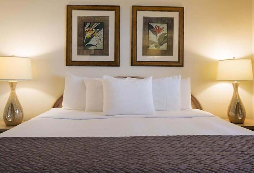 جناح, Resort Sixty Six