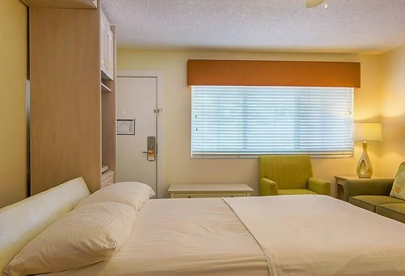 スタンダードスタジオ, Resort Sixty Six