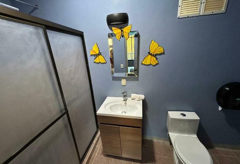 スタンダードルーム, Ticozuma