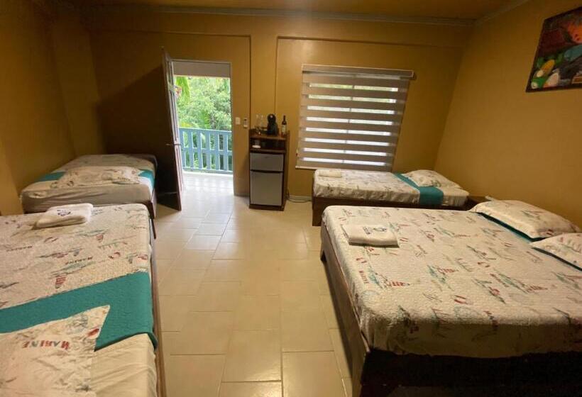 エコノミー４人部屋, Ticozuma