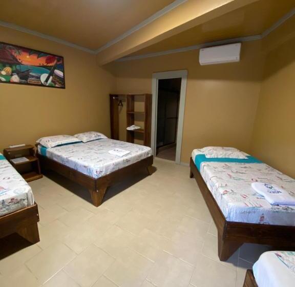 エコノミー４人部屋, Ticozuma