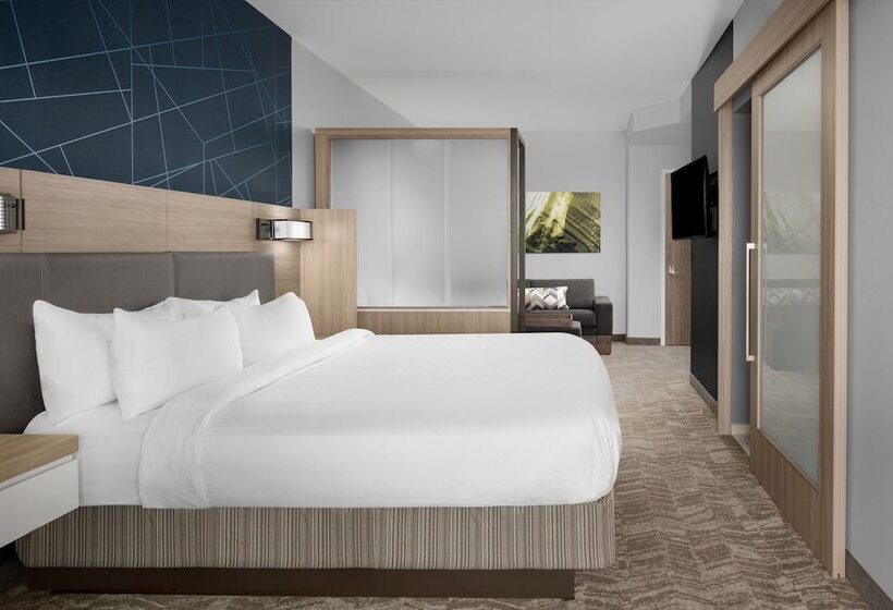 바다 전망 스위트, Springhill Suites By Marriott Myrtle Beach Oceanfront