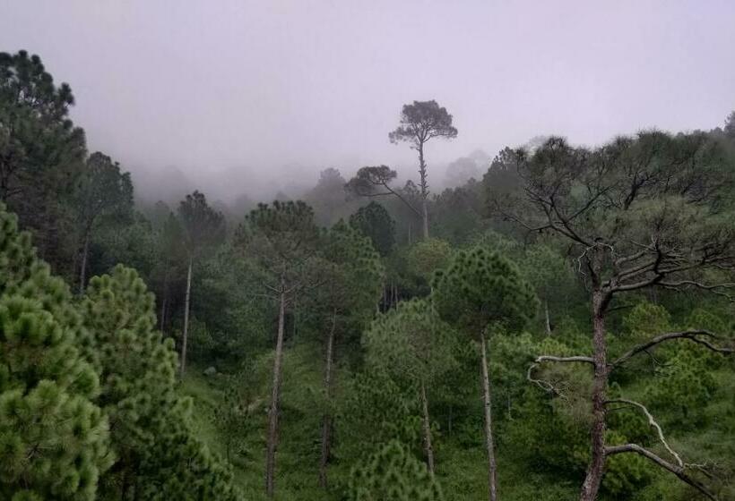 스탠다드 룸 킹사이즈 침대, Le Halcyon Kasauli