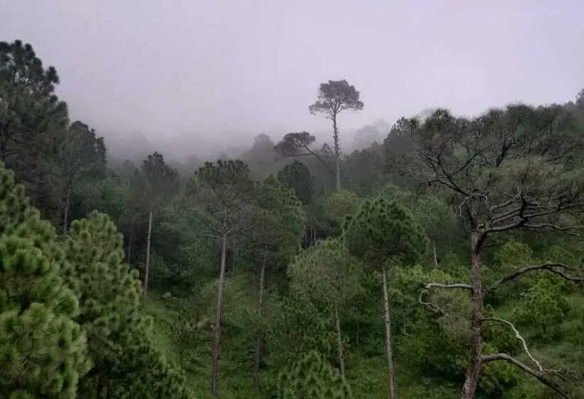 キングサイズベッドのスタンダードルーム, Le Halcyon Kasauli