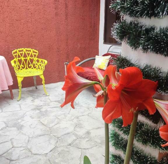 غرفة قياسية, El Hogar Del Viajero Hostel