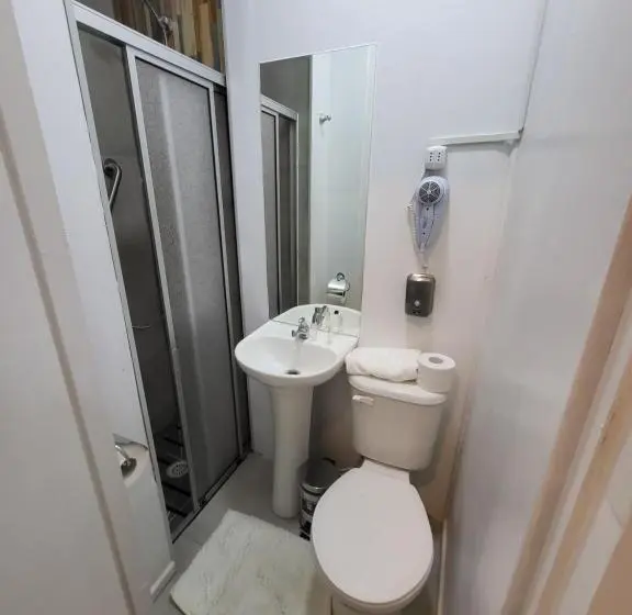 Standard Yhden Hengen Huone, Apart Hotel De Hostal Concepción