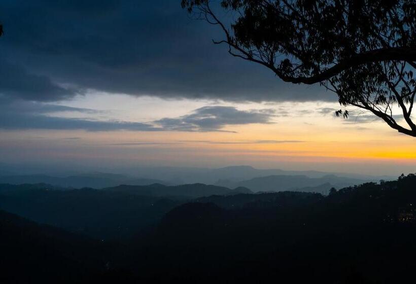 سوییت لوکس, Tea Valley Resort, Munnar