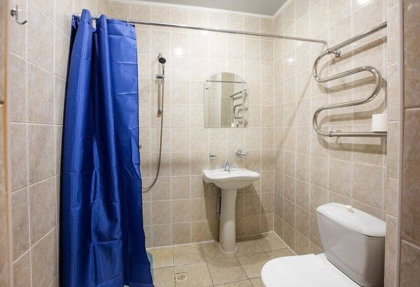 اتاق استاندارد, Vyborg