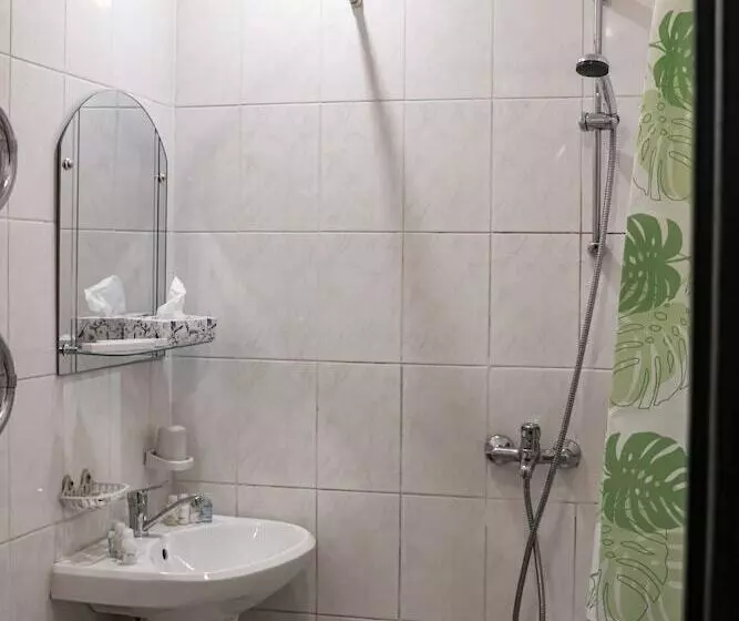 スタンダードルーム, Vyborg