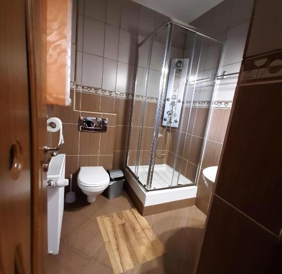 Номер Deluxe с Балконом, Pensiunea Montan Din Bran,sat Simon Spa Indoor