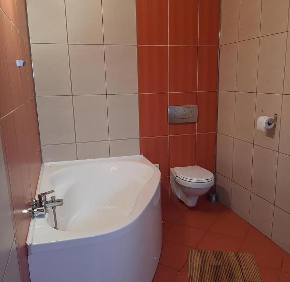 트리플 클래식 룸, Pensiunea Montan Din Bran,sat Simon Spa Indoor