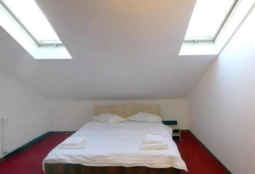 اتاق اکونومی, Pensiunea Montan Din Bran,sat Simon Spa Indoor