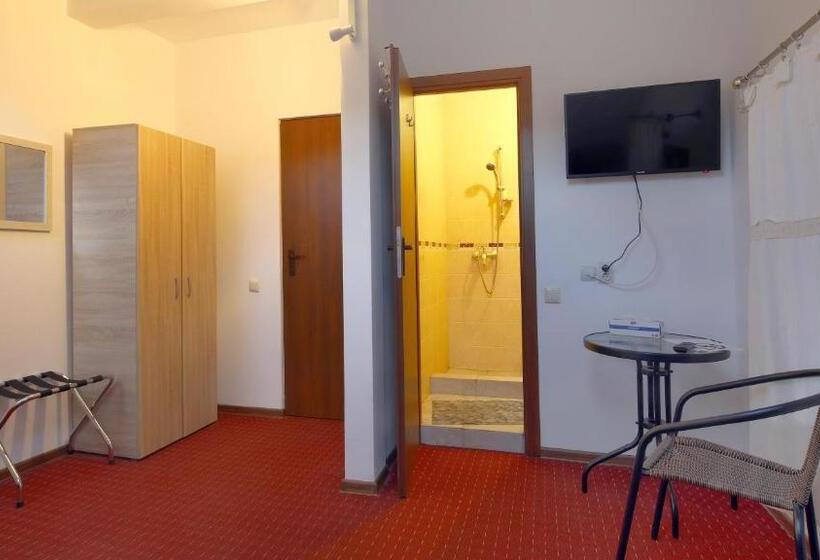 Номер Economy, Pensiunea Montan Din Bran,sat Simon Spa Indoor
