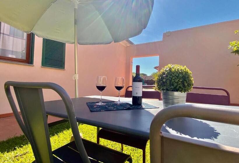 스탠다드 스튜디오, Residence Terme Isola D Elba Srl