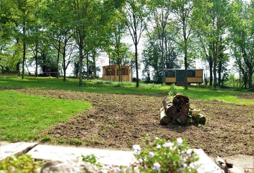 ファミリールーム, Le Camp Du Fauconnier