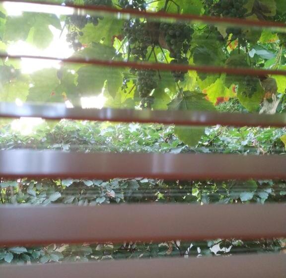 غرفة أساسية, Logies Op Dreef