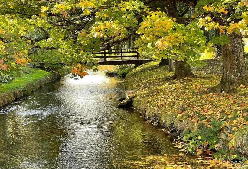 キングサイズベッドのスタンダードルーム, Forest B & B