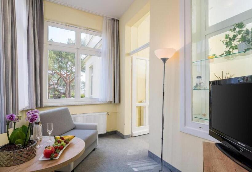 Номер Стандарт, Seestern