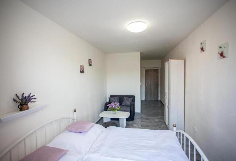 חדר סטנדרט, Ubytování Rožmberk Nad Vltavou 18