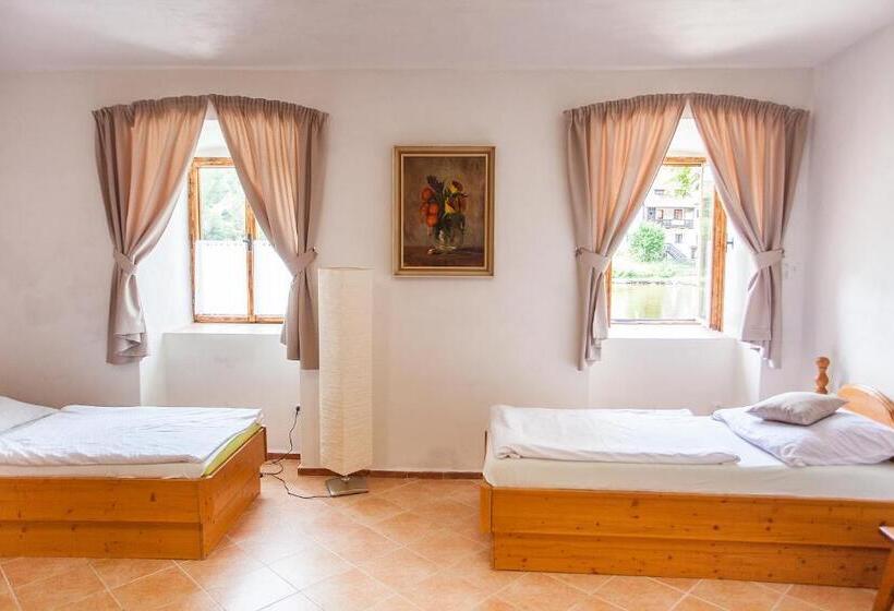 Апартаменты 1 Спальня Нижний Этаж, Ubytování Rožmberk Nad Vltavou 18