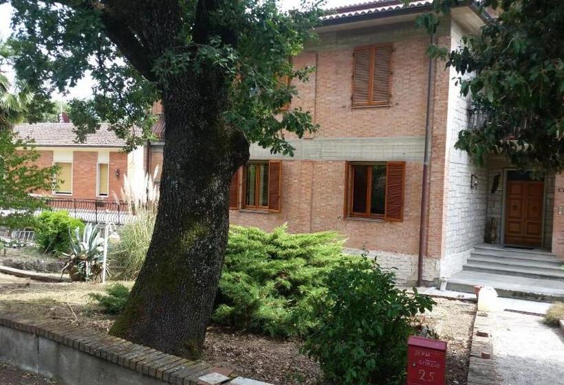 Номер Стандарт, San Francesco