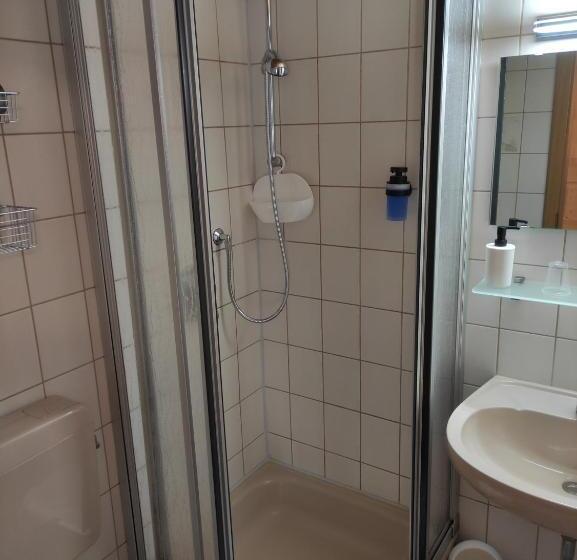 اتاق استاندارد با بالکن, Pension Weißer Hirsch