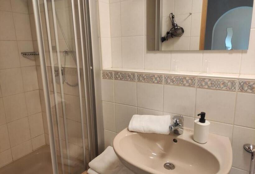 اتاق استاندارد با بالکن, Pension Weißer Hirsch