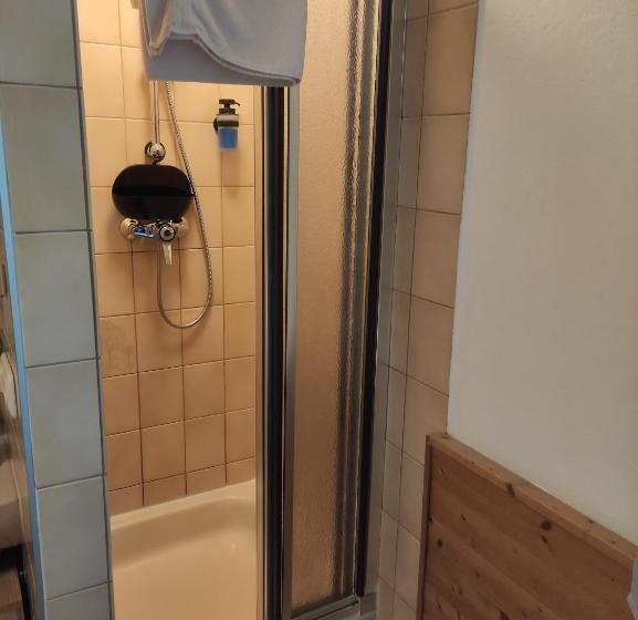 اتاق استاندارد یک نفره, Pension Weißer Hirsch