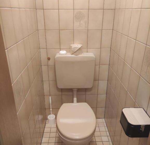 اتاق استاندارد یک نفره, Pension Weißer Hirsch