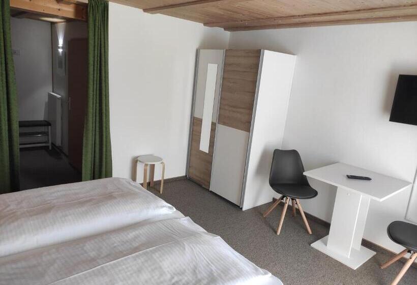 اتاق استاندارد, Pension Weißer Hirsch