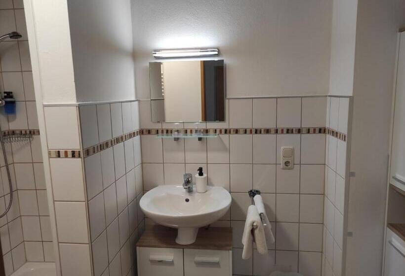 اتاق استاندارد, Pension Weißer Hirsch