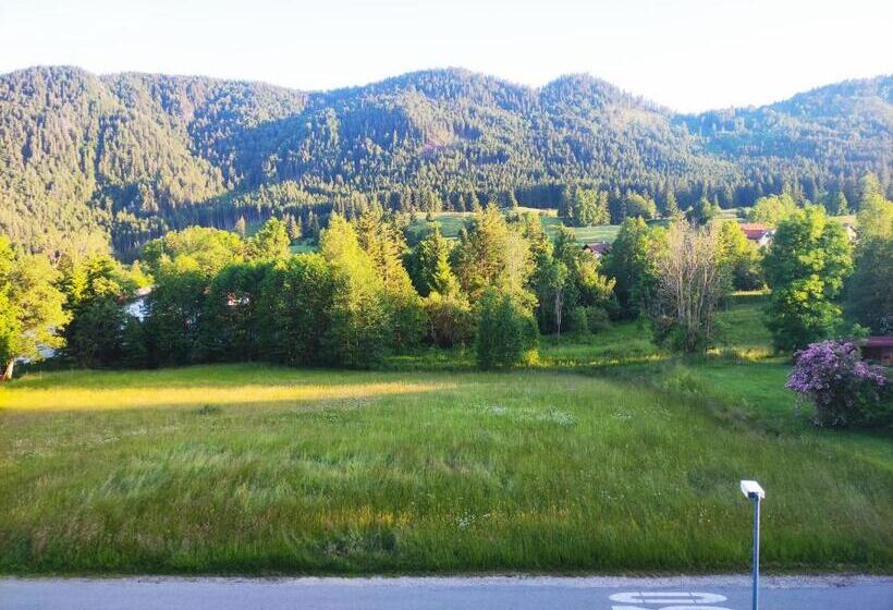 اتاق استاندارد, Pension Weißer Hirsch