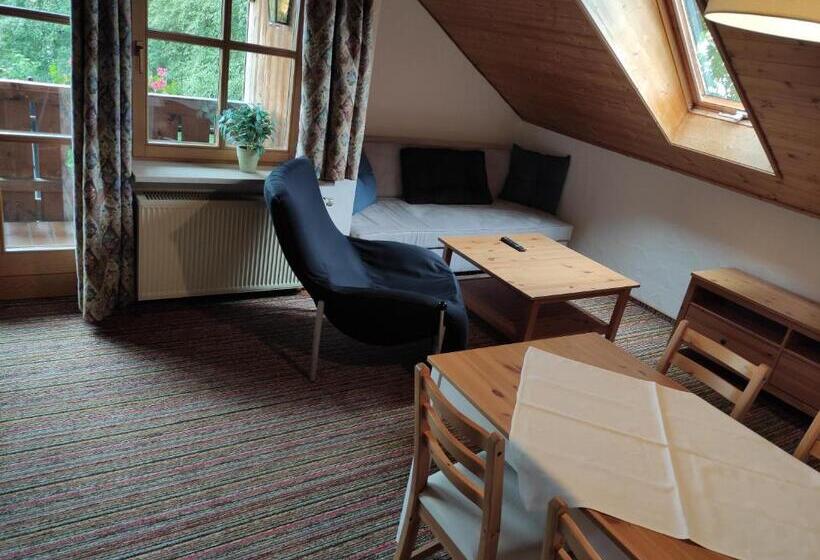 آپارتمان 2 خوابه, Pension Weißer Hirsch