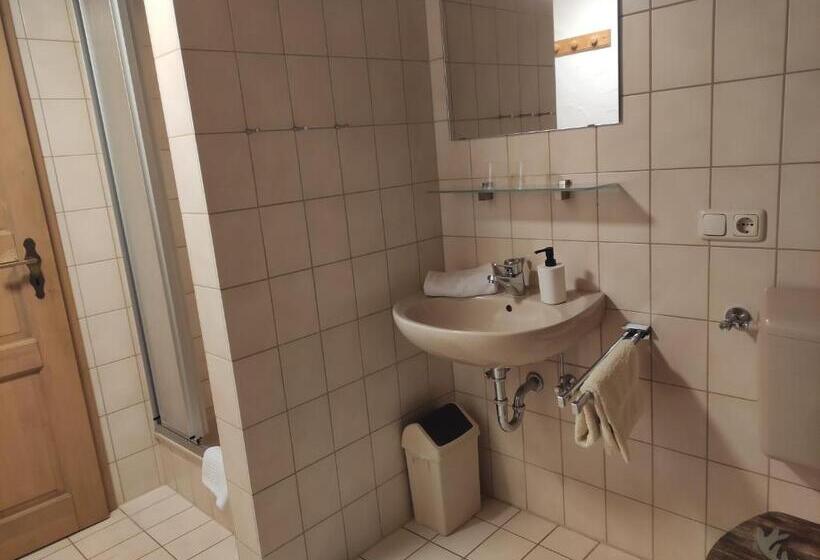 آپارتمان 2 خوابه, Pension Weißer Hirsch