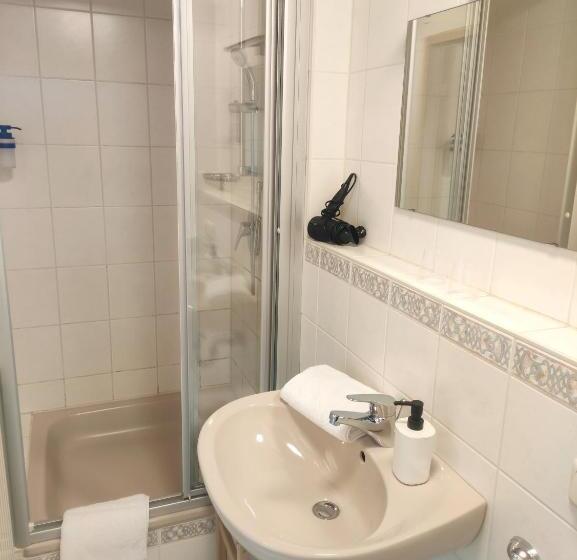 اتاق استاندارد با بالکن, Pension Weißer Hirsch