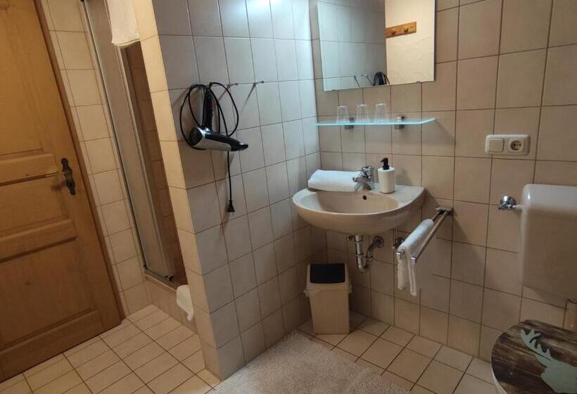 Апартаменты 2 Спальни, Pension Weißer Hirsch