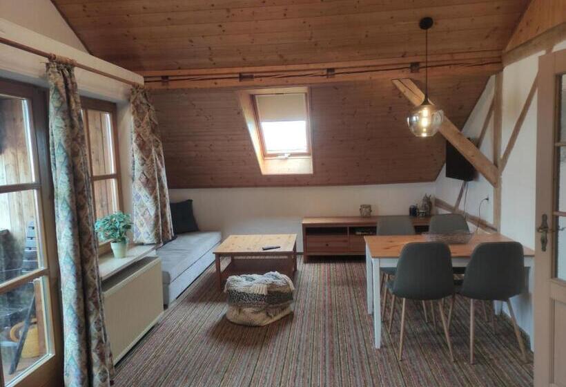 آپارتمان 2 خوابه, Pension Weißer Hirsch