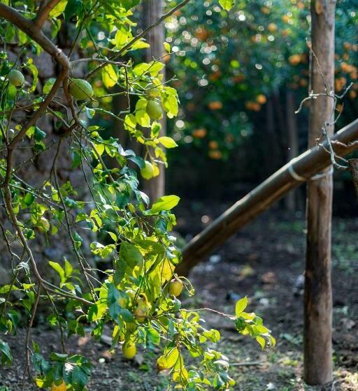 带1个卧室带花园景观的公寓, Pane E Marmellata