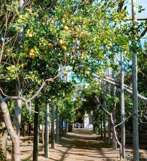 带1个卧室带花园景观的公寓, Pane E Marmellata