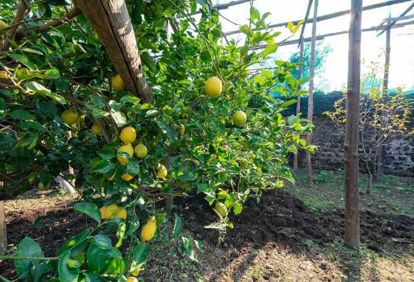 Апартаменты 1 Спальня Вид на Сад, Pane E Marmellata