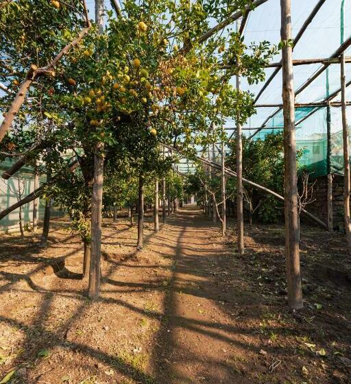 带1个卧室带花园景观的公寓, Pane E Marmellata