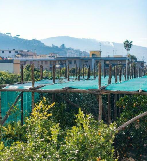 带1个卧室带花园景观的公寓, Pane E Marmellata